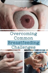 Read more about the article Overcoming Common Breastfeeding Challenges