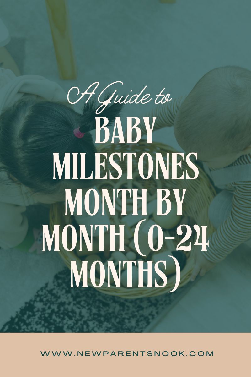 You are currently viewing A Guide to Baby Milestones Month by Month (0-24 Months)